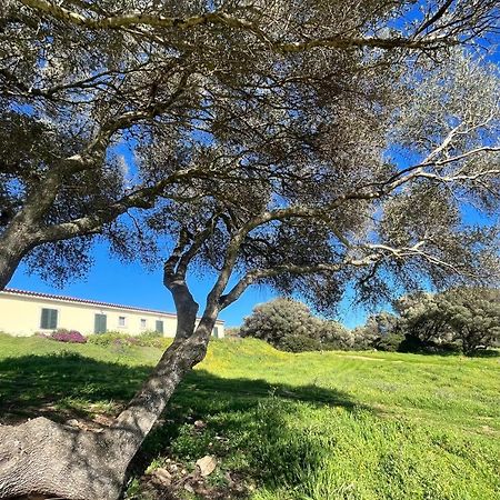 Bed and Breakfast La Striscia Larga San Pasquale Exterior foto