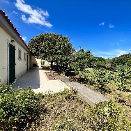 Bed and Breakfast La Striscia Larga San Pasquale Exterior foto