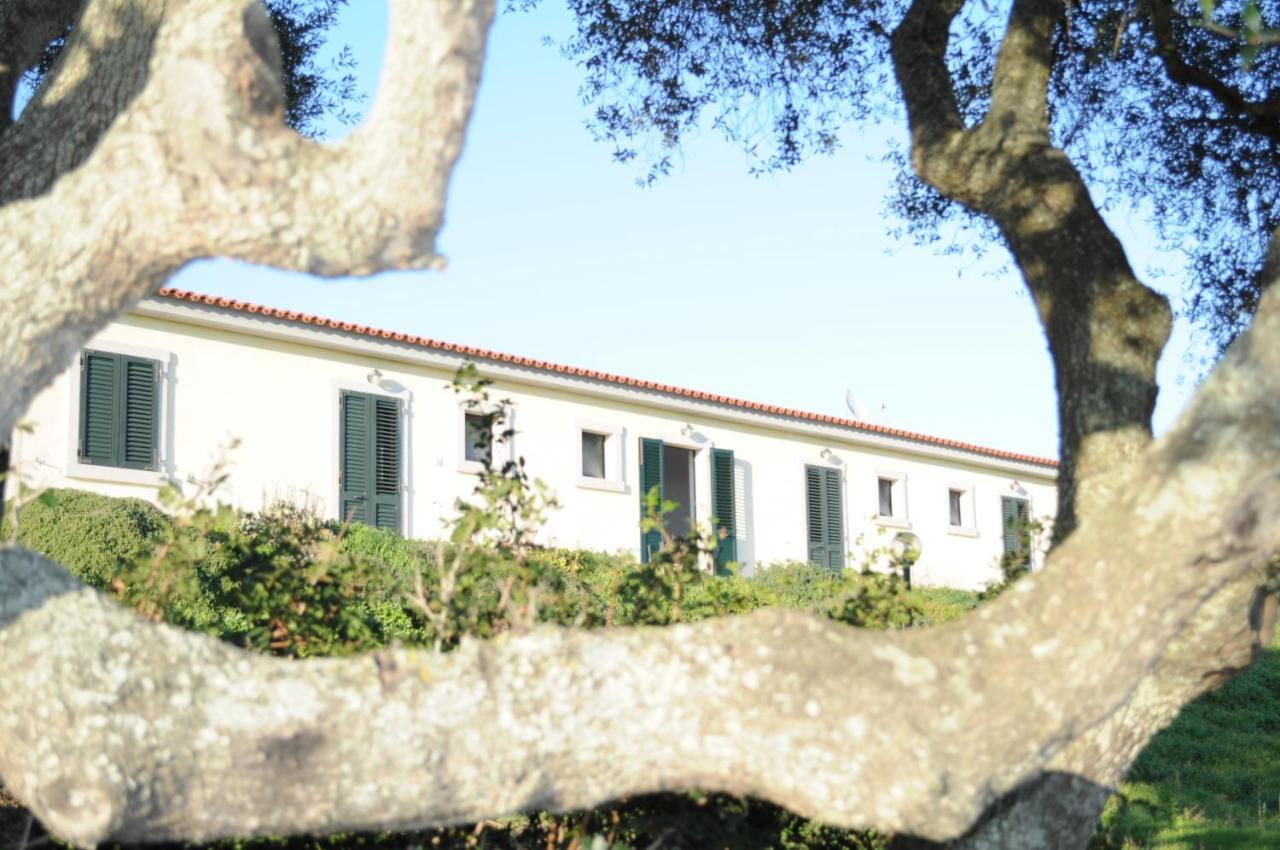 Bed and Breakfast La Striscia Larga San Pasquale Exterior foto