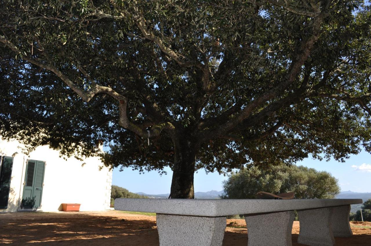 Bed and Breakfast La Striscia Larga San Pasquale Exterior foto