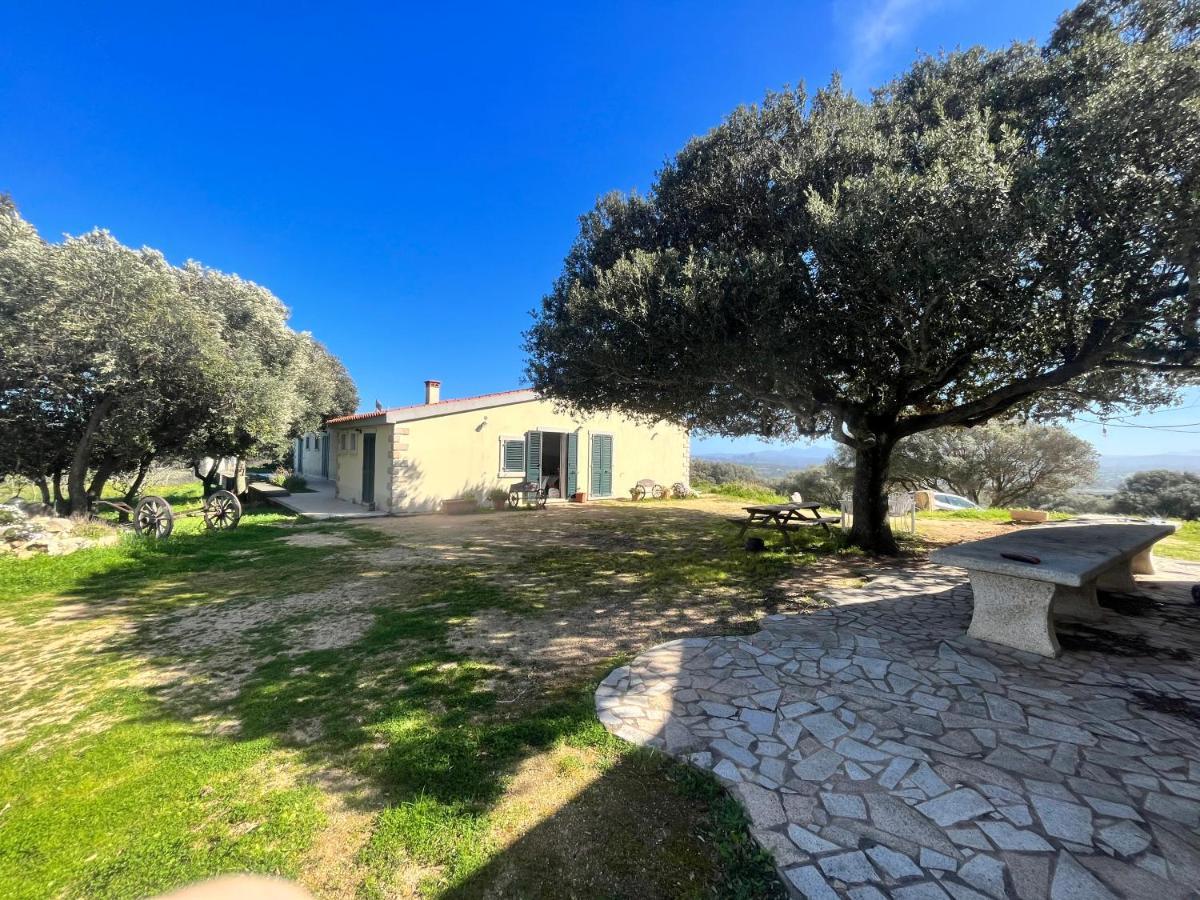 Bed and Breakfast La Striscia Larga San Pasquale Exterior foto