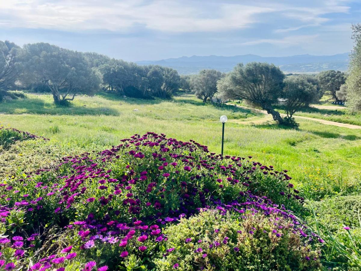 Bed and Breakfast La Striscia Larga San Pasquale Exterior foto