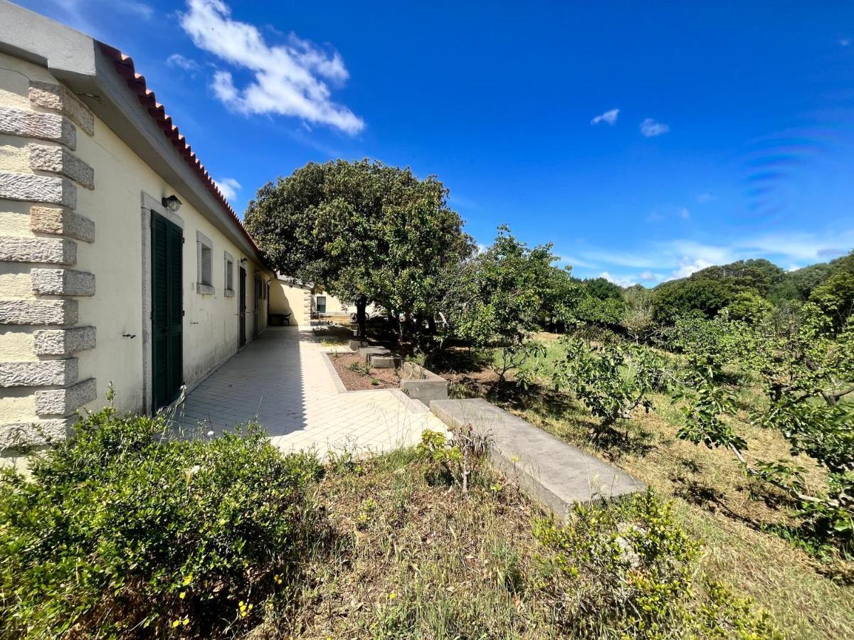 Bed and Breakfast La Striscia Larga San Pasquale Exterior foto