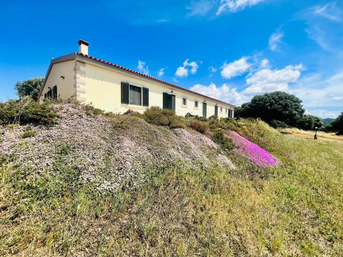 Bed and Breakfast La Striscia Larga San Pasquale Exterior foto