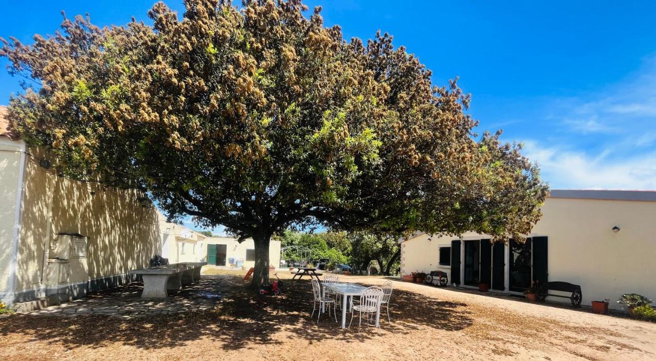 Bed and Breakfast La Striscia Larga San Pasquale Exterior foto